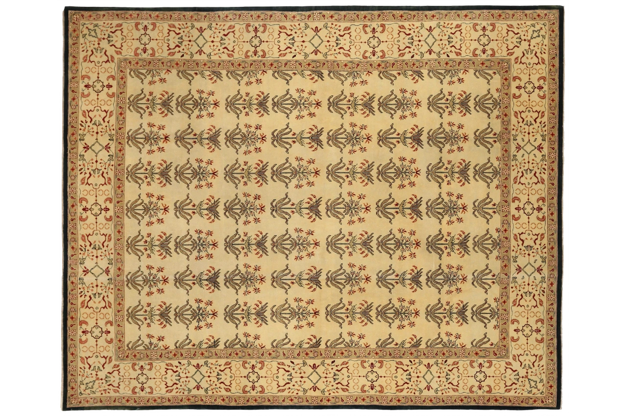 Turkey Agra Transitional Rug 13800