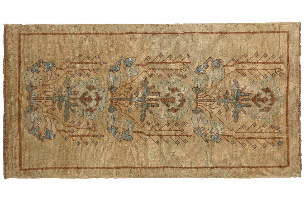 Turkey Donegal Transitional Rug 14653