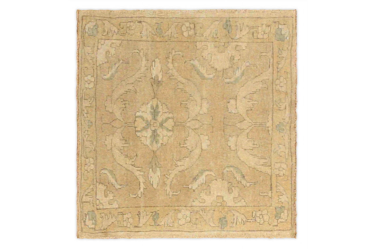 Turkey Transitional Rug 66769