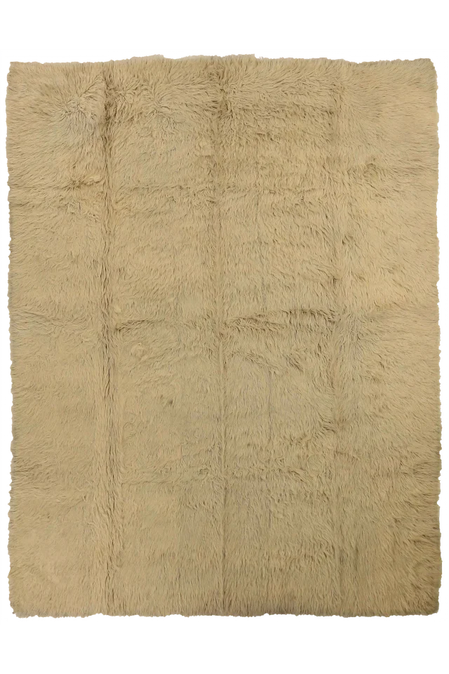 Persian Transitional Rug 52614