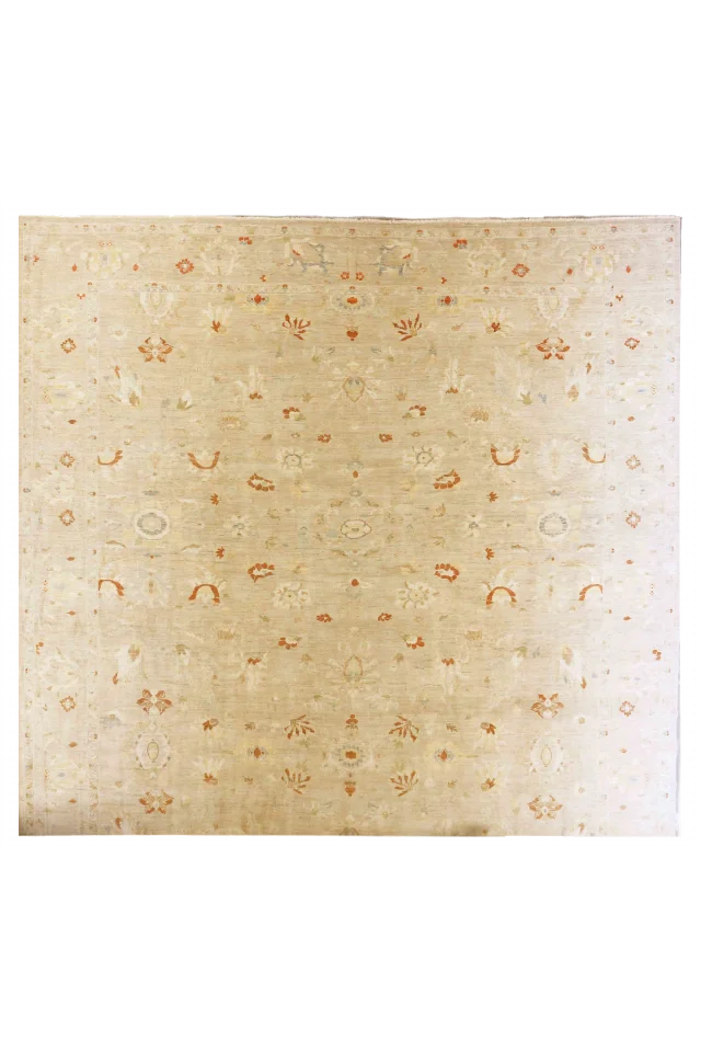 Persian Sultanabad Transitional Rug 70401