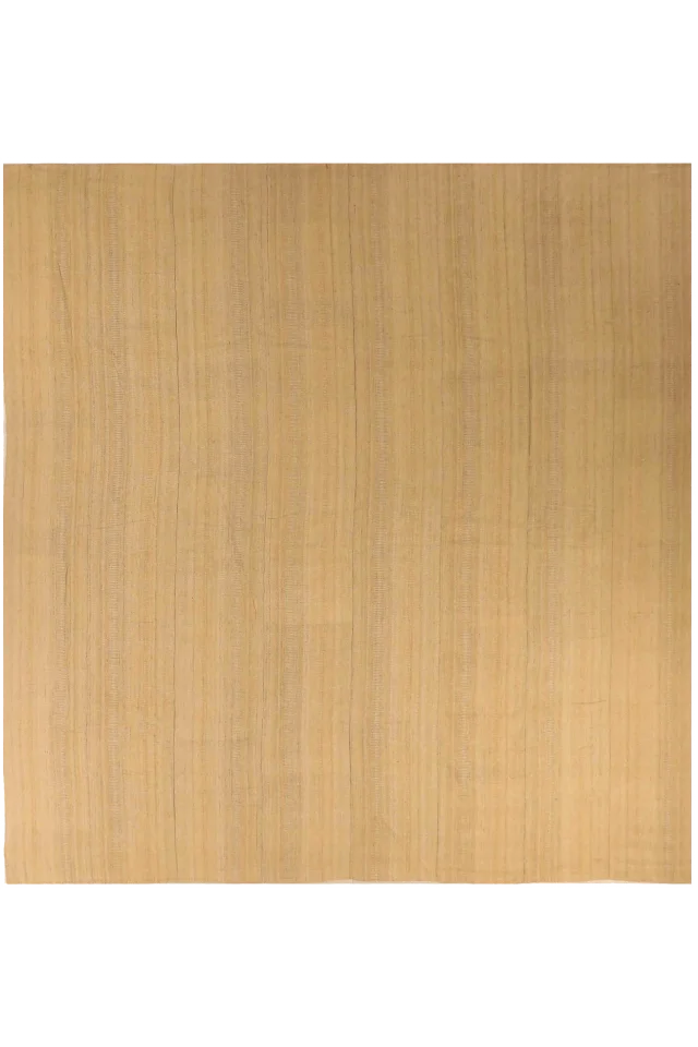 Persian Transitional Rug 70428