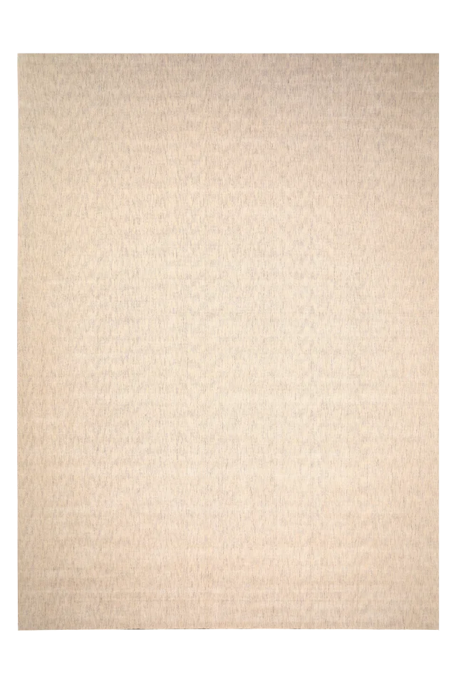 India Rug 93679