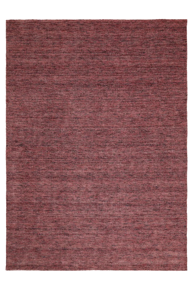 India Rug 93696